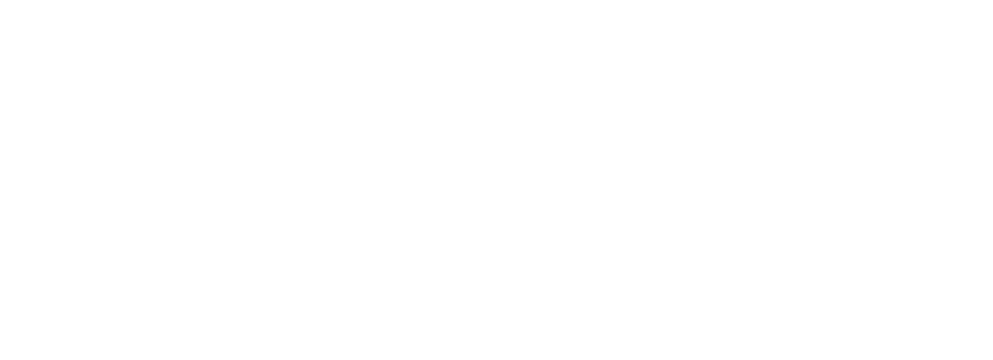 NY Logo_HOme