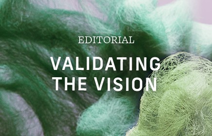 VALIDATING THE VISION