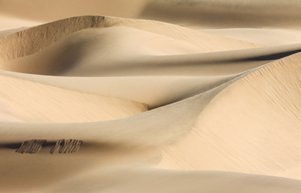 State of the Industry 2023 Sourcing Report: Shifting Sands